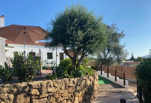La Casa Palmera - Caminito Del Rey Pizarra Exterior photo